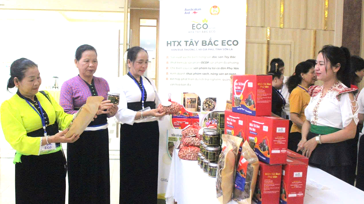 Khát vọng làm giàu từ kinh tế tập thể của phụ nữ vùng cao Sơn La- Ảnh 5. Khát vọng làm giàu từ kinh tế tập thể của phụ nữ vùng cao Sơn La- Ảnh 5.