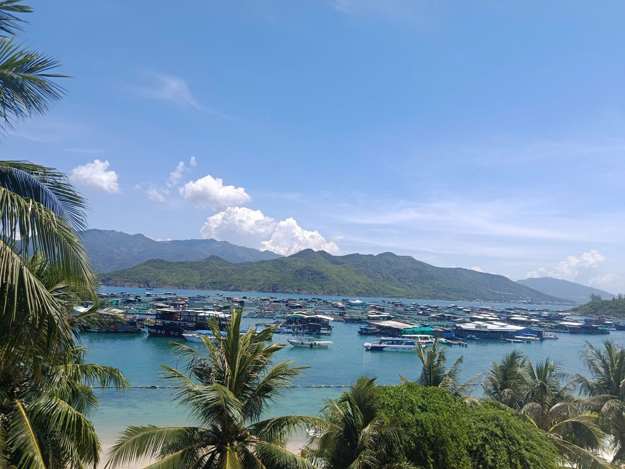 Khánh Hòa: Hồi hộp nhà bè nổi “bủa vây” vùng Vịnh - Ảnh 1.