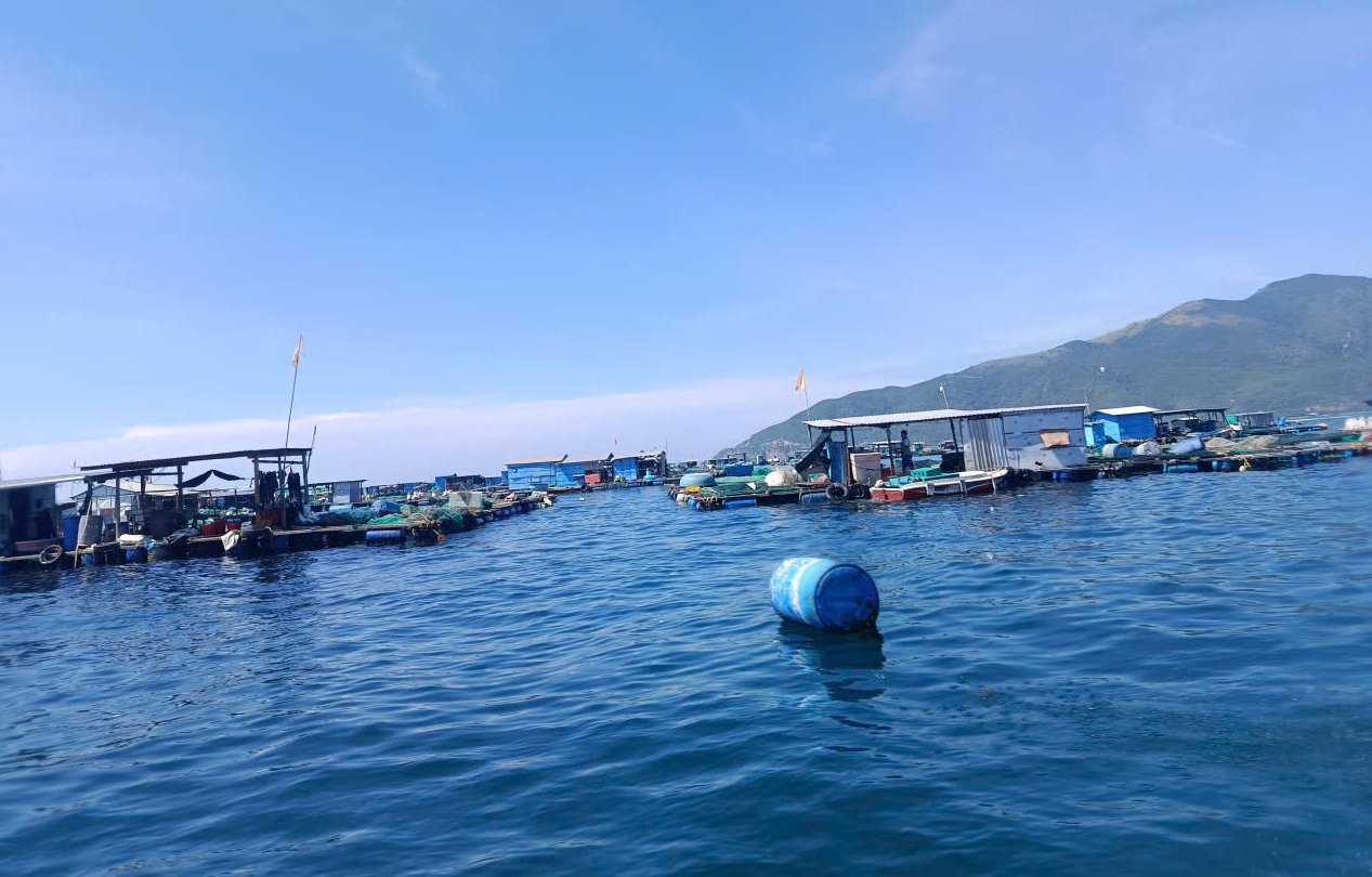 Khánh Hòa: Hồi hộp nhà bè nổi “bủa vây” vùng Vịnh - Ảnh 2.