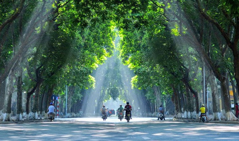 Vì một nền văn minh sinh thái, một Việt Nam xanh và một đại dương hòa bình, bền vững- Ảnh 4.