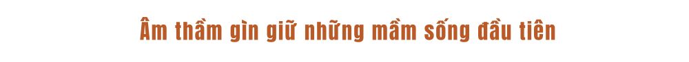 Người “ươm mầm sự sống” phía sau cánh cửa phòng Lab IVF- Ảnh 2. Người “ươm mầm sự sống” phía sau cánh cửa phòng Lab IVF- Ảnh 2.