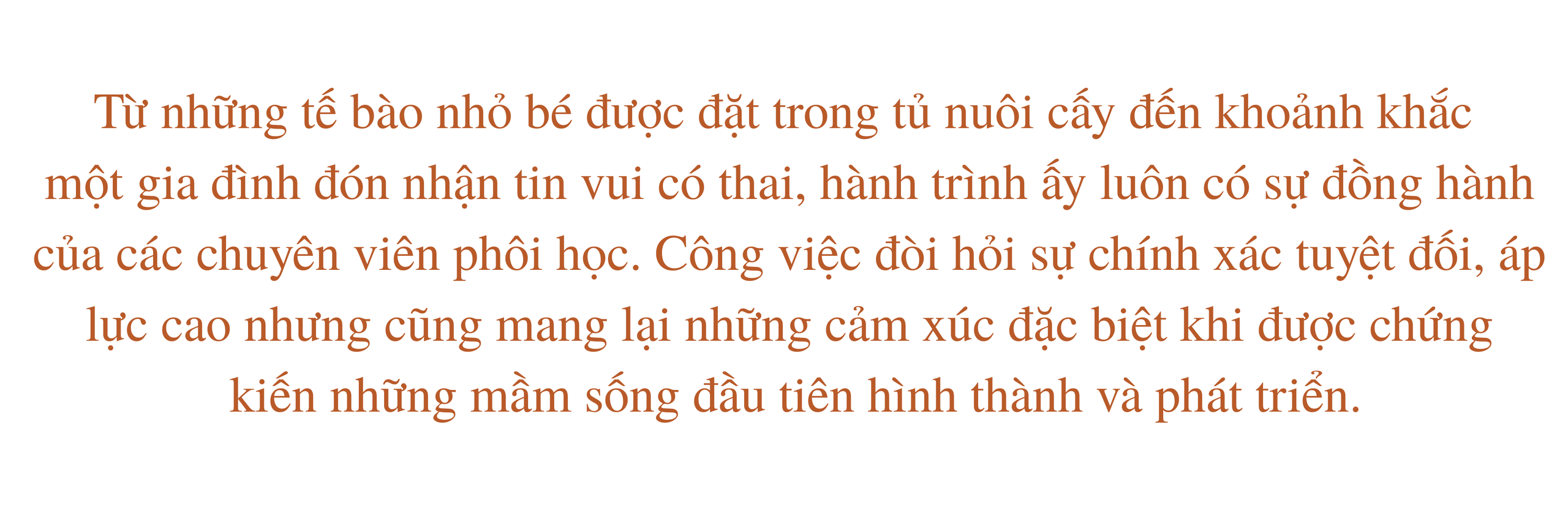 Người “ươm mầm sự sống” phía sau cánh cửa phòng Lab IVF- Ảnh 1. Người “ươm mầm sự sống” phía sau cánh cửa phòng Lab IVF- Ảnh 1.
