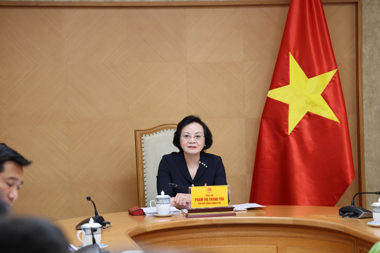 Phó Thủ tướng Phạm Thị Thanh Trà chỉ đạo hoàn thiện Đề án thành lập thành phố Quảng Ninh- Ảnh 5.