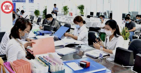 ThS. Nguyễn Thị Lan Hương: Công nghệ không thể thay thế trách nhiệm của công chứng viên - Ảnh 1.