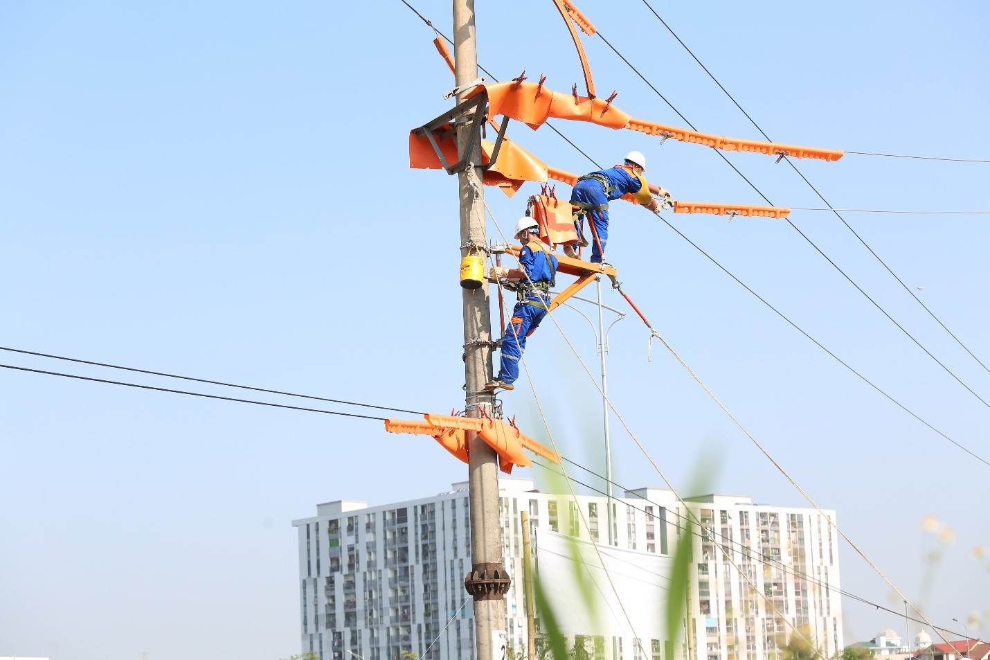 Giữ nhịp dòng điện mùa nắng nóng: Từ bản lĩnh người thợ Hotline đến tầm nhìn quản trị của EVNNPC - Ảnh 2.