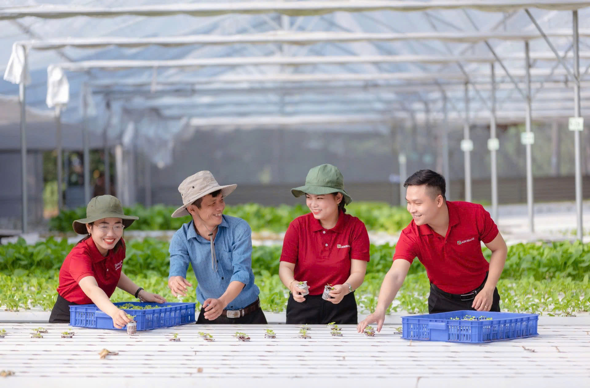 Agribank tiên phong triển khai chương trình tín dụng ưu đãi 70.000 tỷ đồng hướng đến các động lực tăng trưởng kinh tế và doanh nghiệp nhỏ và vừa - Ảnh 3.