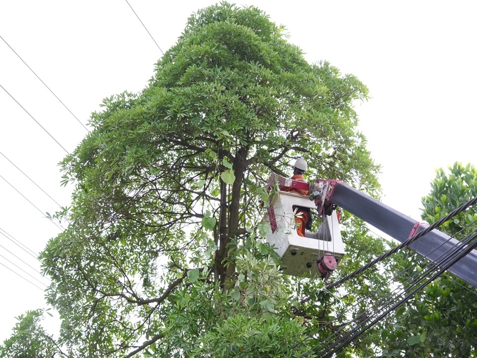Điện lực miền Bắc tăng cường “lá chắn” an toàn trong mùa mưa bão- Ảnh 8.