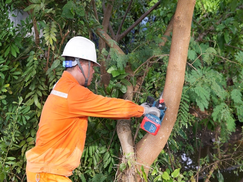 Điện lực miền Bắc tăng cường “lá chắn” an toàn trong mùa mưa bão- Ảnh 9.