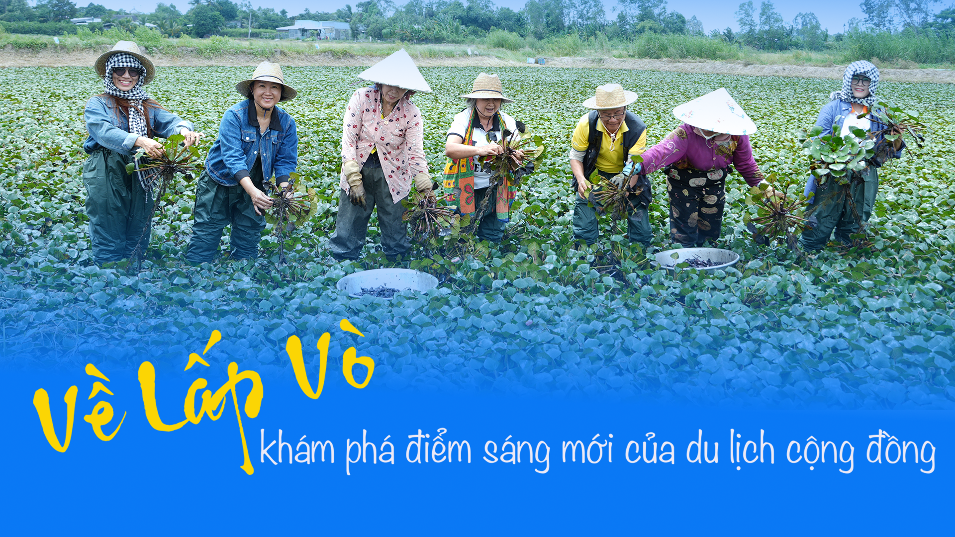Về Lấp Vò khám phá điểm sáng mới của du lịch cộng đồng