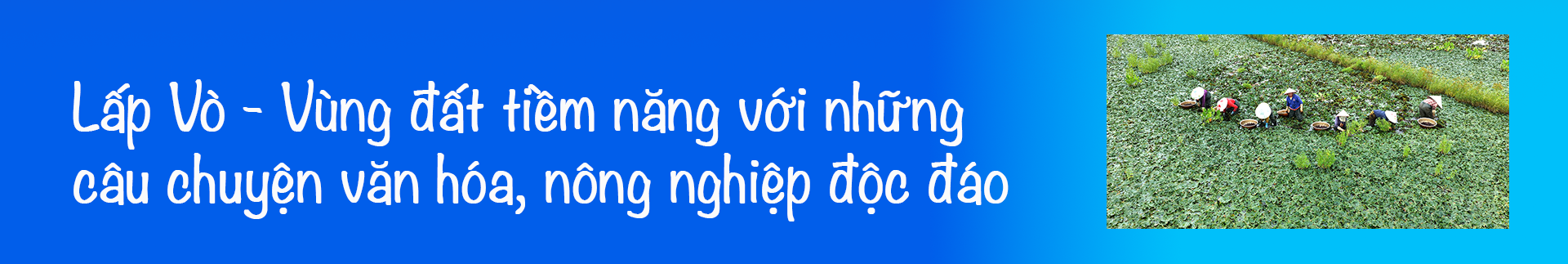 Về Lấp Vò khám phá điểm sáng mới của du lịch cộng đồng - Ảnh 1.
