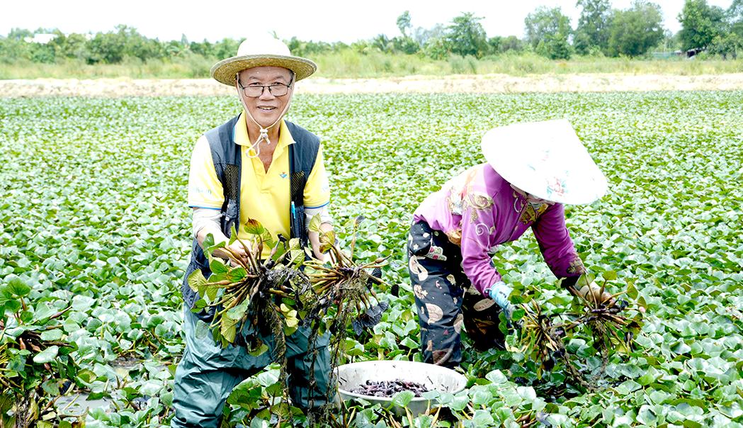 Về Lấp Vò khám phá điểm sáng mới của du lịch cộng đồng - Ảnh 2.