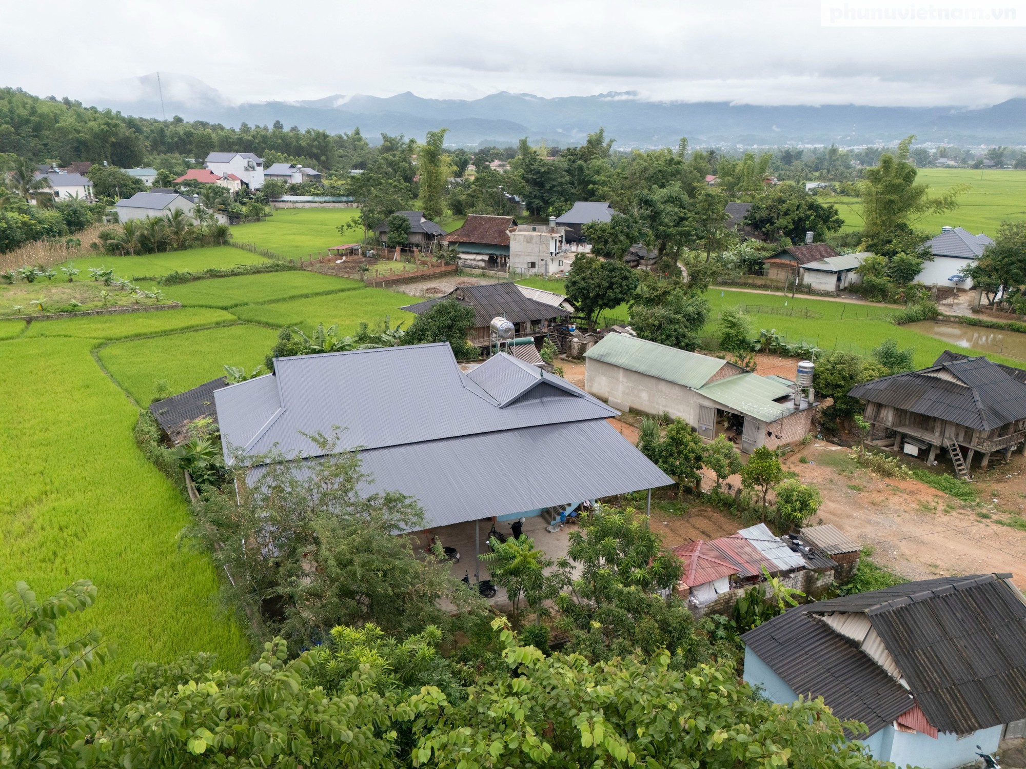 Những gia đình hạnh phúc ở bản Nghịu- Ảnh 1.