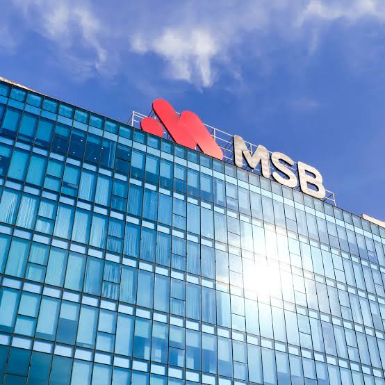 MSB: Lợi nhuận tăng nhưng bài toán chất lượng tăng trưởng vẫn còn nhiều ẩn số - Ảnh 1.