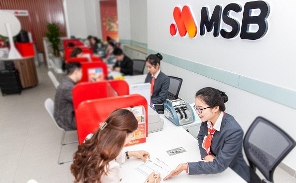 MSB: Lợi nhuận tăng nhưng bài toán chất lượng tăng trưởng vẫn còn nhiều ẩn số - Ảnh 2.
