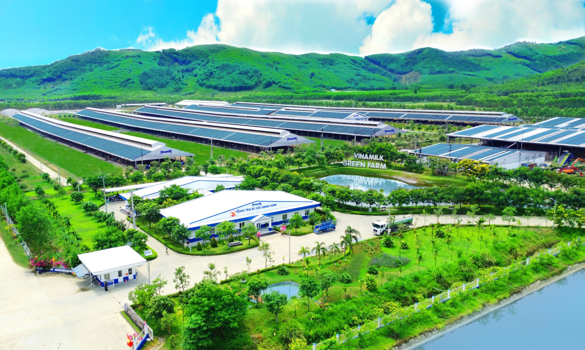 50 năm Vinamilk: Khi “đạt chuẩn” chưa phải là điểm dừng- Ảnh 3.
