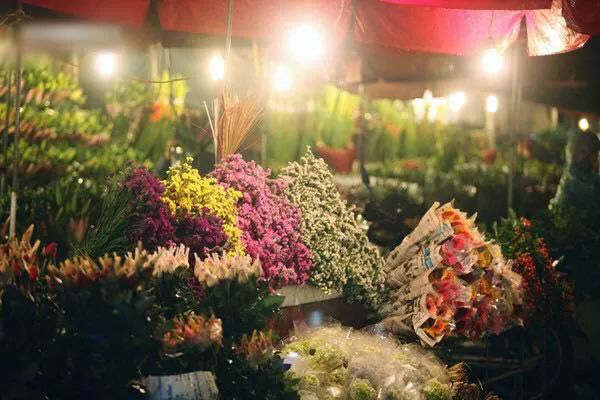 Kinh nghiệm mua hoa Tết đẹp, không bị ‘chặt chém’ ở chợ hoa Quảng Bá  - Ảnh 2.