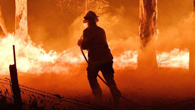 Lính cứu hỏa cố gắng dập lửa cháy rừng