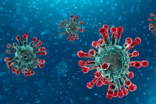 Không có cơ sở khoa học chứng minh xông nhà bằng bồ kết chống được virus Corona - Ảnh 4.