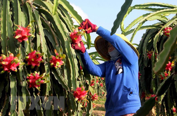 Hiệp định thương mại tự do Việt Nam-EU: Doanh nghiệp kỳ vọng bứt phá - Ảnh 1.