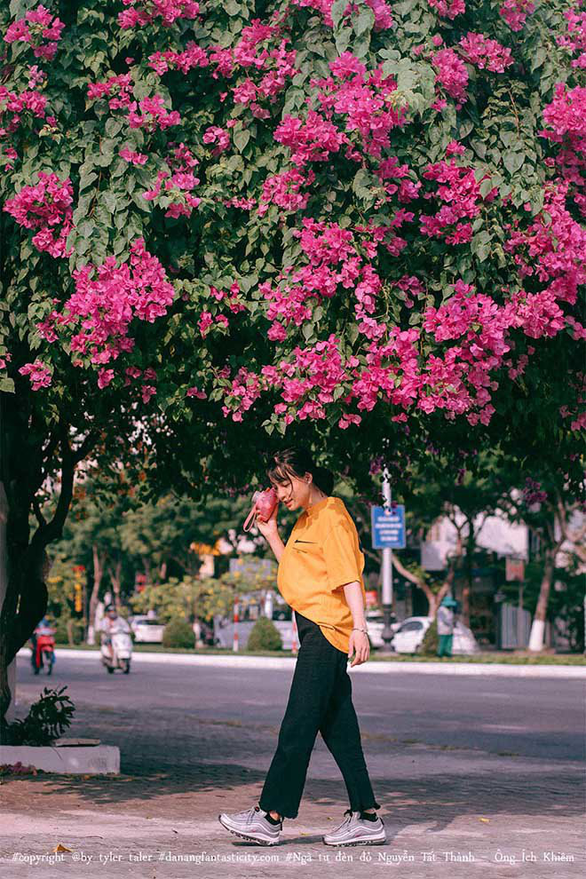3 mùa hoa của Sài Gòn đẹp nao lòng các tín đồ &quot;sống ảo&quot; - Ảnh 10.