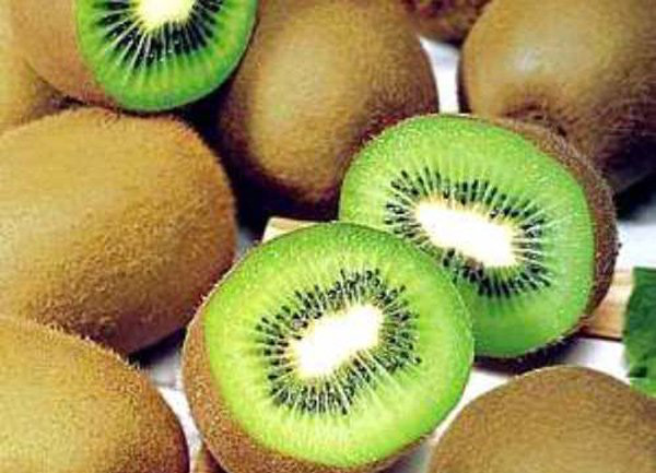 Tác dụng của quả kiwi với bà bầu và trẻ em nhất định phải biết - Ảnh 1.