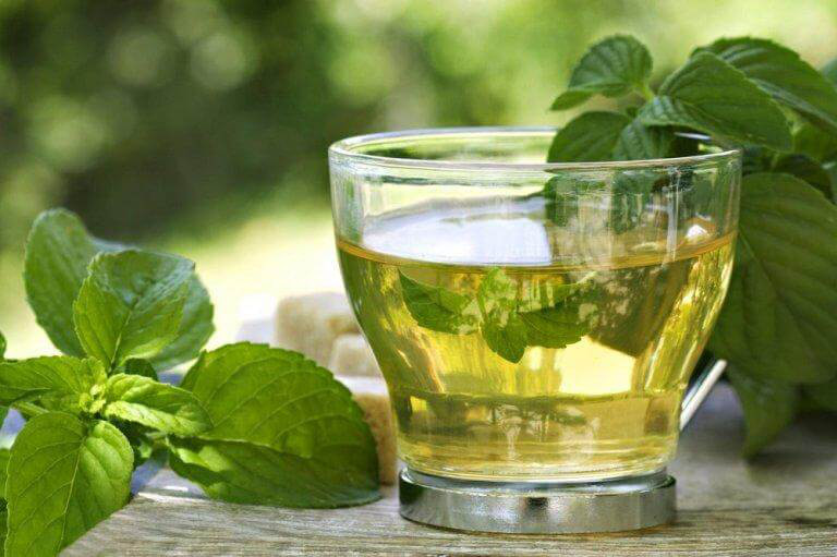 4 đồ uống từ trà xanh giúp giảm cân, vóc dáng đẹp