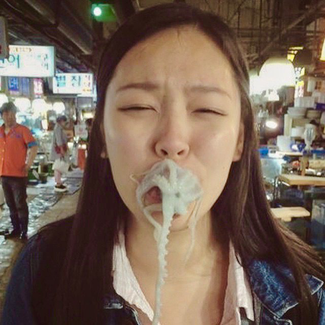 Đặc sản bạch tuộc sống Hàn Quốc: Cho vào miệng vẫn còn ngoe nguẩy - Ảnh 3.