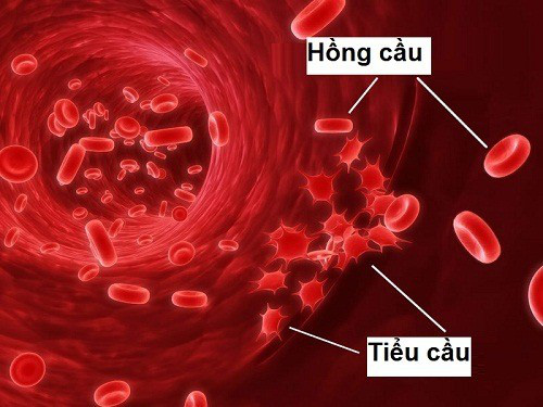 Xơ gan gây giảm tiểu cầu: Mối nguy hiểm khôn lường cho sức khỏe - Ảnh 2.