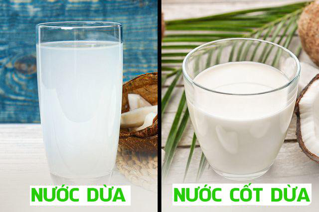 Nước dừa và nước cốt dừa có công dụng khác biệt như thế nào với sức khỏe và làm đẹp - Ảnh 1.
