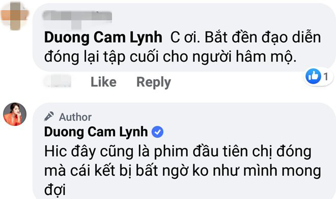 &quot;Tiệm ăn dì ghẻ&quot; kết thúc như 1 cú lừa, Dương Cẩm Lynh thừa nhận &quot;không như mong đợi&quot; - Ảnh 9.