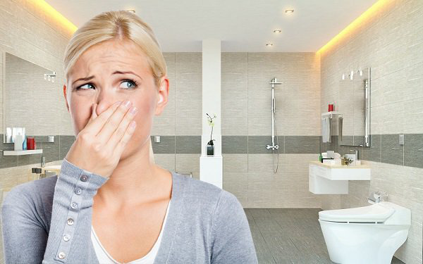 Cách xử lý mùi hôi cống trong nhà vệ sinh, 5 phút xong ngay nhưng hiệu quả bất ngờ - Ảnh 1.