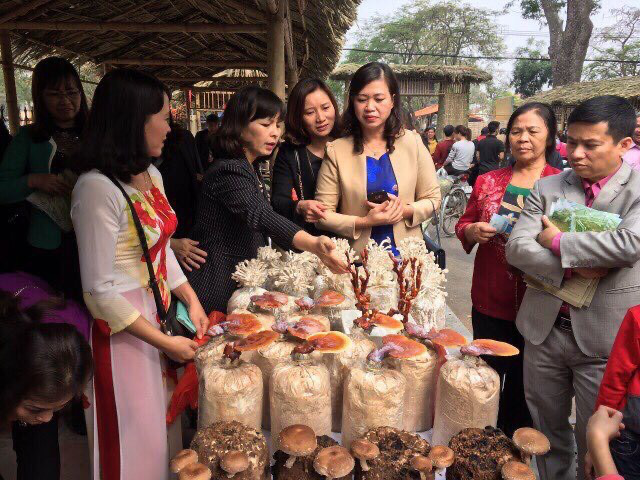 (anh Phú) Đông Anh: Tạo việc làm cho gần 200 lao động địa phương từ trồng nâm rơm bảo vệ môi trường - Ảnh 1.