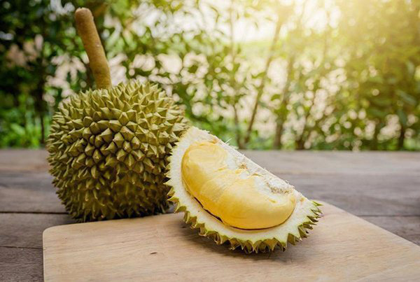 Ăn sầu riêng có tốt không và những lưu ý khi ăn - Ảnh 1. Ăn sầu riêng có tốt không và những lưu ý khi ăn - Ảnh 1.