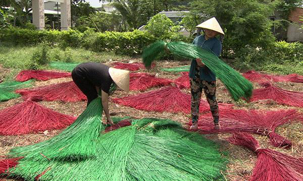 Tín dụng chính sách - Điểm tựa nâng cao vị thế người Phụ nữ Việt Nam - Ảnh 3.