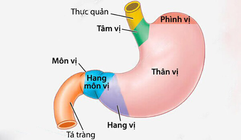 viem-ta-trang-la-gi-hieu-dung-benh-chua-dung-cach-7