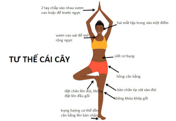 Làm chậm già hóa bằng 5 bài tập yoga cho người cao tuổi - Ảnh 1.