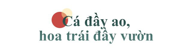 Tạm bỏ nhà to giữa phố, mẹ Hà Nội lên núi nuôi cá trồng rau... trong vườn 3000m² - Ảnh 14.