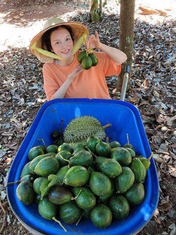 Về quê tránh dịch, Lý Nhã Kỳ đẩy xe rùa đi thu hoạch hoa quả trong nông trại 50 hecta - Ảnh 1.