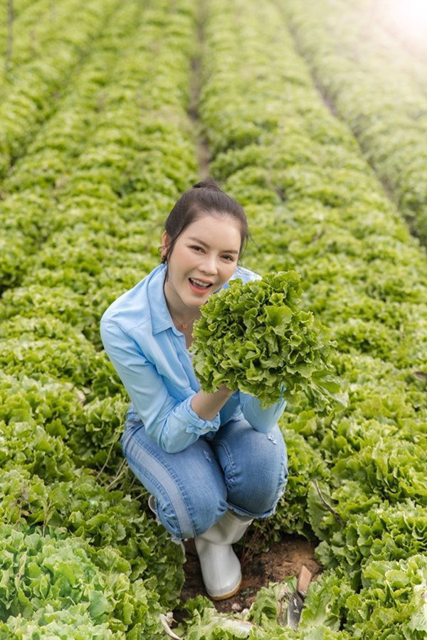 Về quê tránh dịch, Lý Nhã Kỳ đẩy xe rùa đi thu hoạch hoa quả trong nông trại 50 hecta - Ảnh 3.