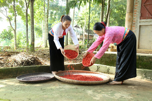 ‘Vườn ươm khởi nghiệp’ hỗ trợ doanh nghiệp dân tộc thiểu số  - Ảnh 1.