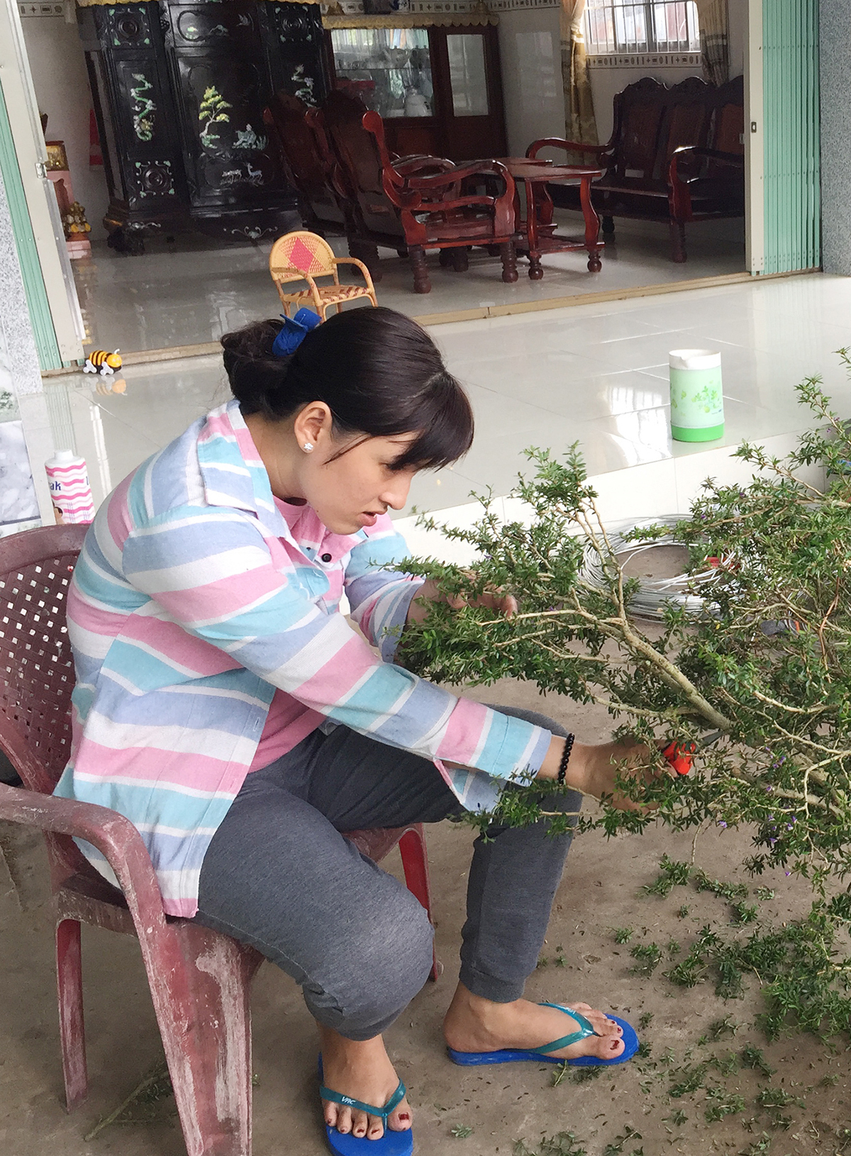 Nữ chủ nhân ở vườn hoa Thanh Mai đang tập trung tạo thế cho cây linh sam - sản phẩm chủ đạo trong vườn hoa