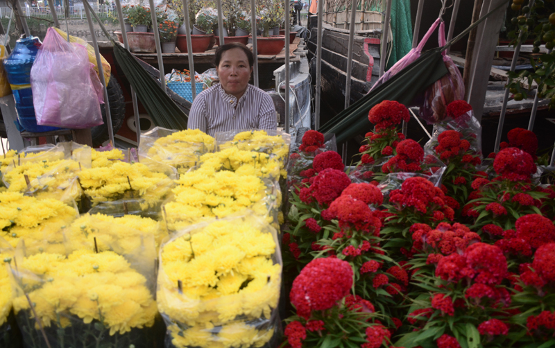 Hoa cúc, hoa giấy, mào gà... được nhiều người chọn mua, có giá bán từ 70.000 - 150.000/chậu.
