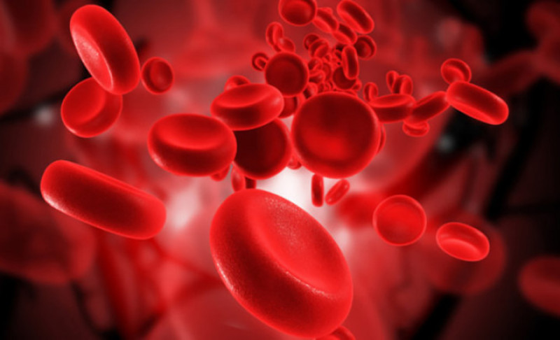 Thiếu máu: Đậu bắp rất giàu vitamin K, vitamin B, sắt, kali, kẽm, canxi, mangan và magiê... nó giúp sản xuất ra các tế bào hồng cầu có hiệu quả và giúp ngăn ngừa bệnh thiếu máu. 