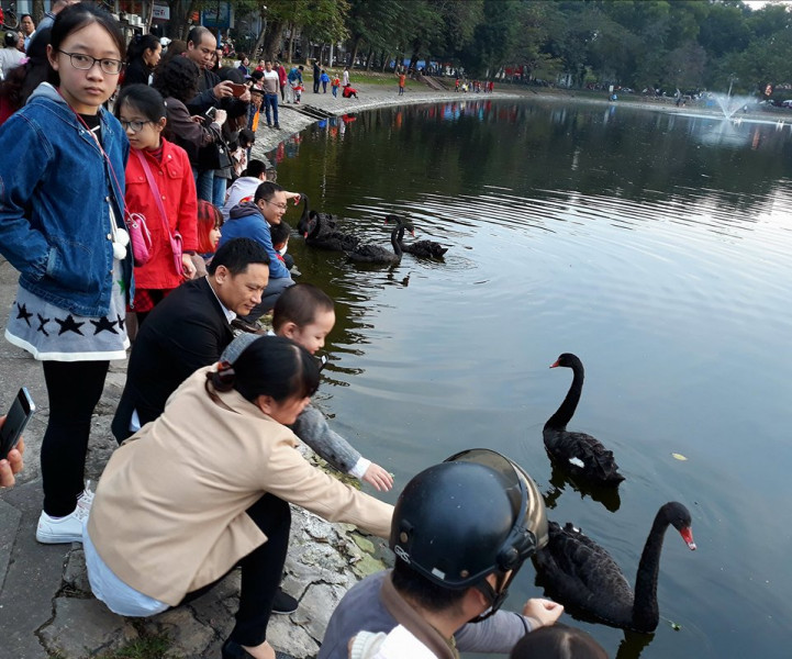 Những địa điểm vui chơi khác như Công viên Thống Nhất, hồ Thiền Quang... cũng thu hút đông đảo người Hà thành đến vui chơi, giải trí. 