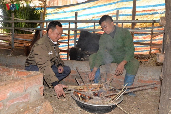 Đốt lửa sưởi ấm và không chăn thả gia súc ngoài trời.