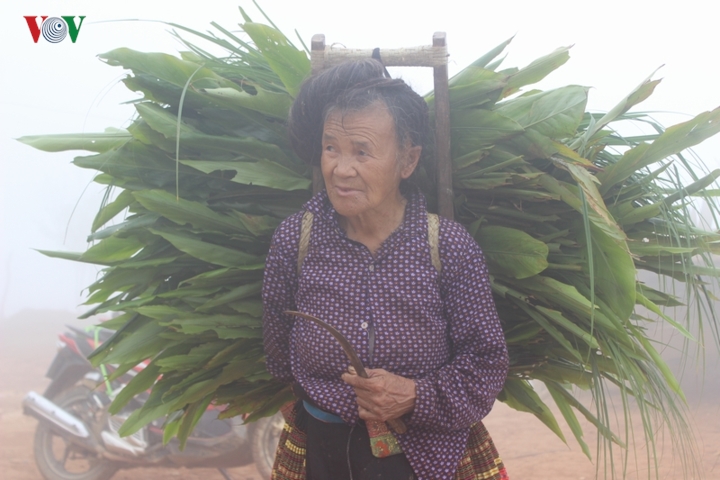 Trong cái lạnh cắt da cắt thịt và sương mù dày đặc, nhiều người dân vẫn phải đi làm ruộng nương.