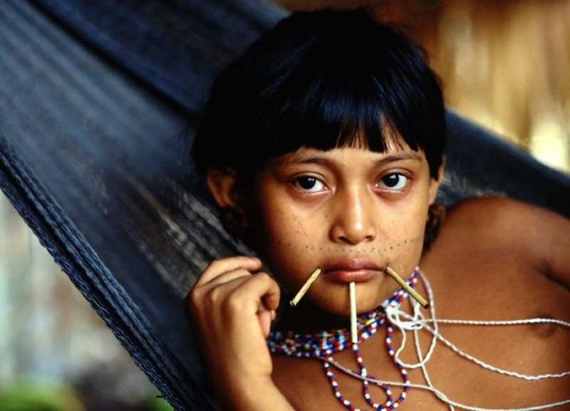 Bộ tộc Yanomami, Brazil. Bộ tộc Yanomami ở rừng nhiệt đới Nam Mỹ là những người ít tiếp xúc với thế giới. Nhiều nhà nhân học tin rằng que xỏ lỗ trên mặt có tính chất trang trí hoặc là dấu hiệu của thanh thiếu niên.