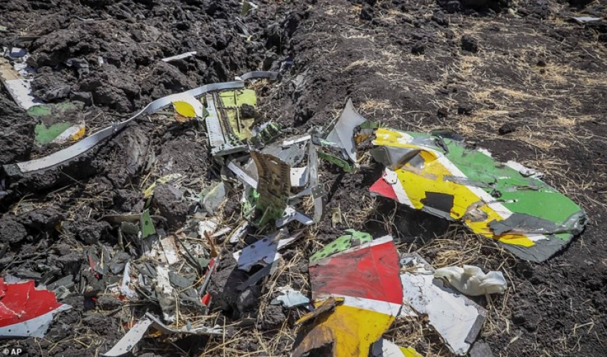 Chiếc Boeing 737-800 MAX mang số hiệu ET 302 của Hãng hàng không Ethiopia đã bị rơi chỉ 6 phút sau khi cất cánh sáng 10/3 từ sân bay Addis Abeba (Etjiopia) trong hành trình tới Nairobi (Kenya).