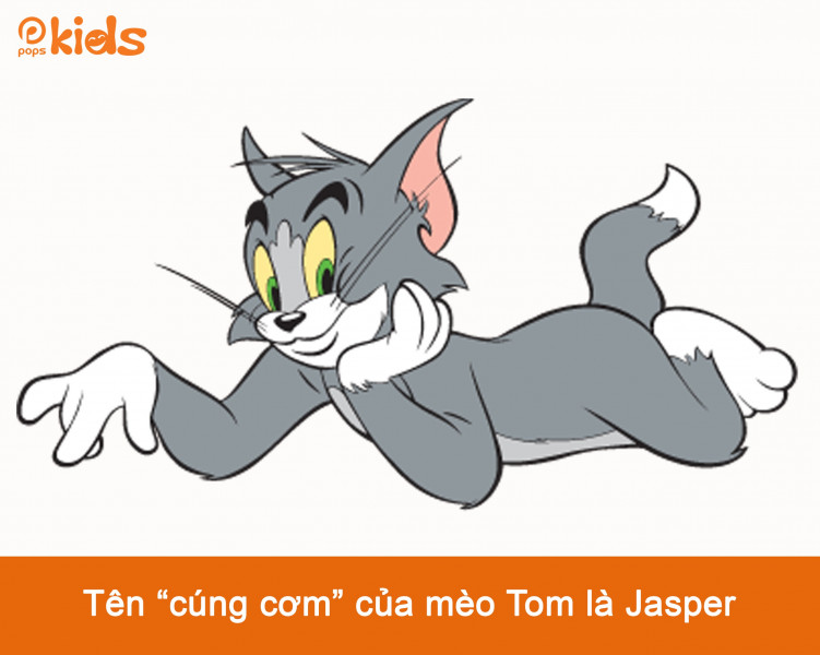 Trong tập đầu tiên, chú mèo Tom có tên là Jasper. Sau đó, nhà sản xuất tổ chức cuộc thi tìm kiếm tên gọi cho bộ phim. Họa sĩ phim hoạt hình John Carr đã giành chiến thắng với giải thưởng 50 USD khi đề xuất tên gọi Tom & Jerry.