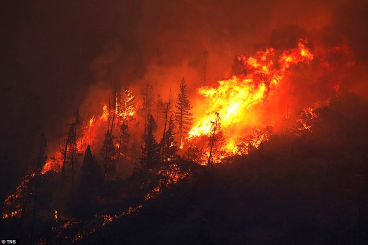 Đám cháy rừng lan nhanh và nhấn chìm California trong biển lửa kinh hoàng đã khiến hàng chục người thiệt mạng, phá hủy hàng nghìn công trình và buộc người dân phải sơ tán. Ảnh: TNS